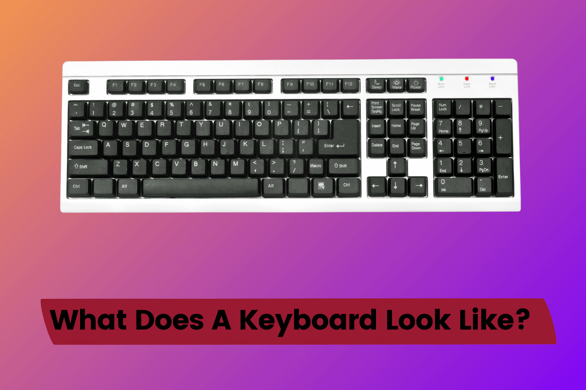 What Does A Keyboard Look Like? Beginner’s Guide