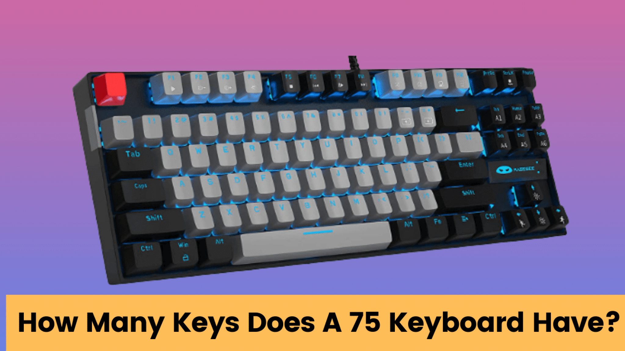 how-many-keys-does-a-75-keyboard-have-secret-revealed