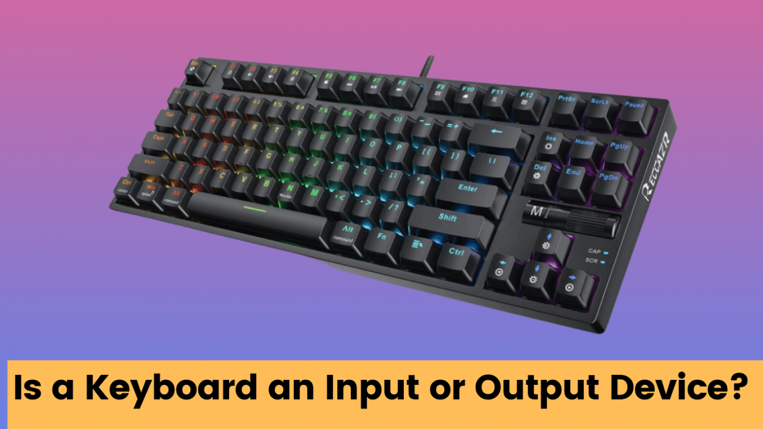 Is a keyboard an input or output device kmg