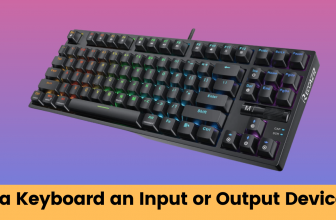is a keyboard an input or output device