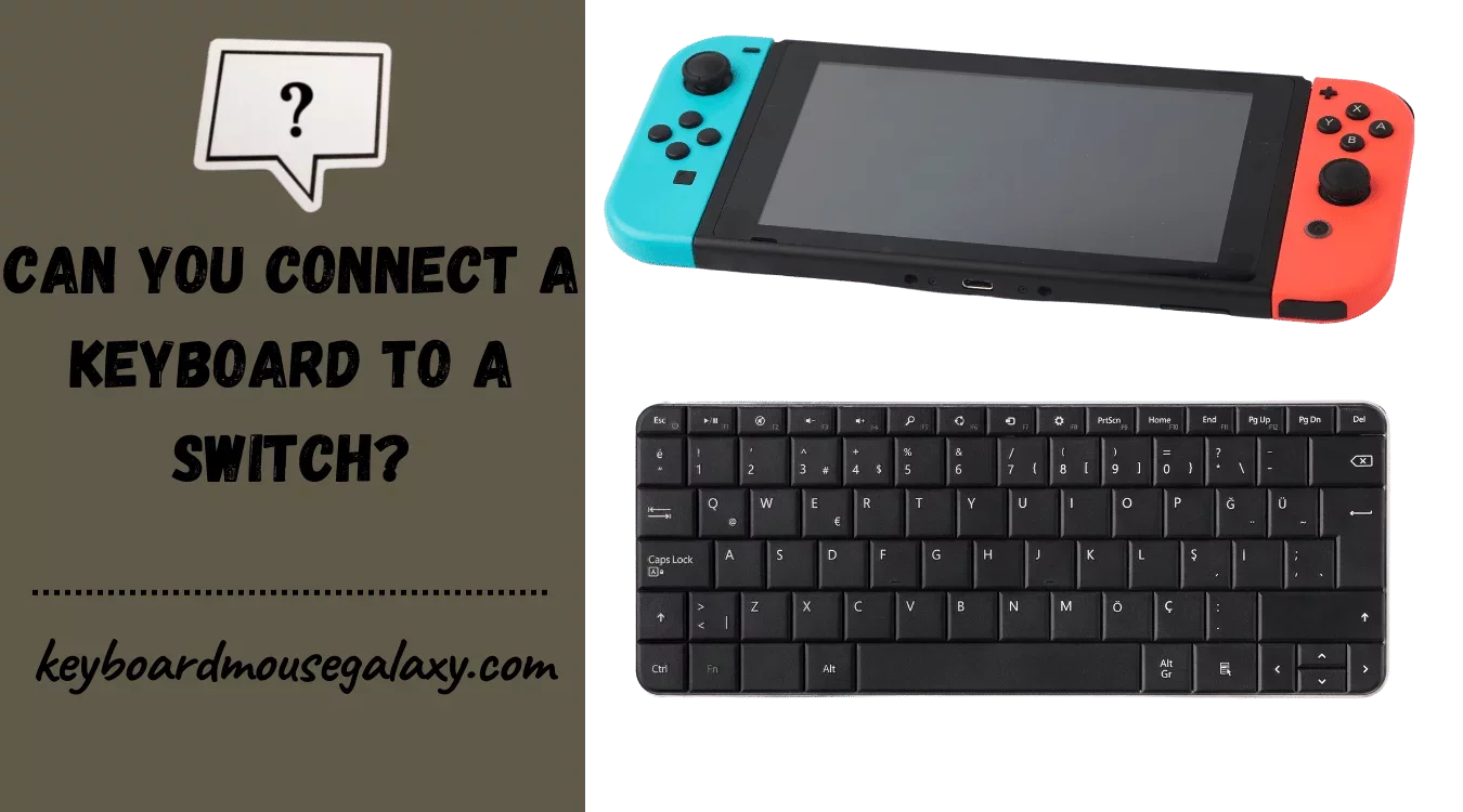 can you connect a keyboard to a switch