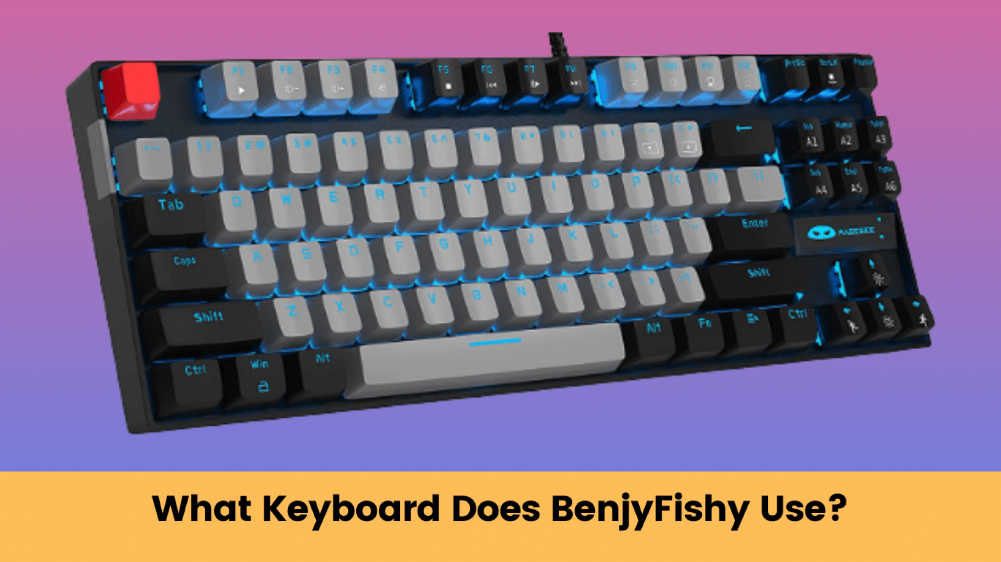 What Do Colors Mean For Mechanical Keyboards? KMG